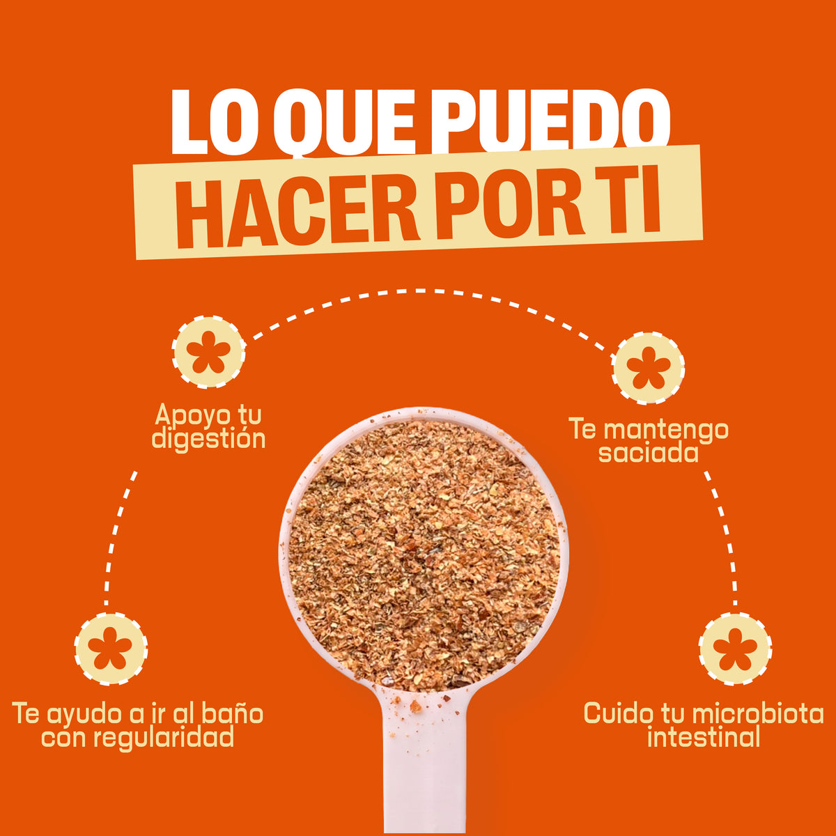 Fibra con prebiótico FOS
